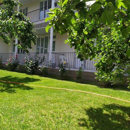 Boomerang Guest House شولبون آتا المظهر الخارجي الصورة