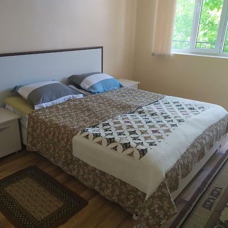 Boomerang Guest House شولبون آتا المظهر الخارجي الصورة