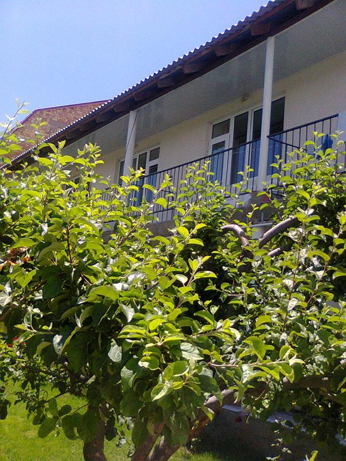 Boomerang Guest House شولبون آتا المظهر الخارجي الصورة